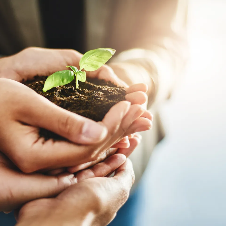MDL's New Full Service Solutions for Financial Service Providers