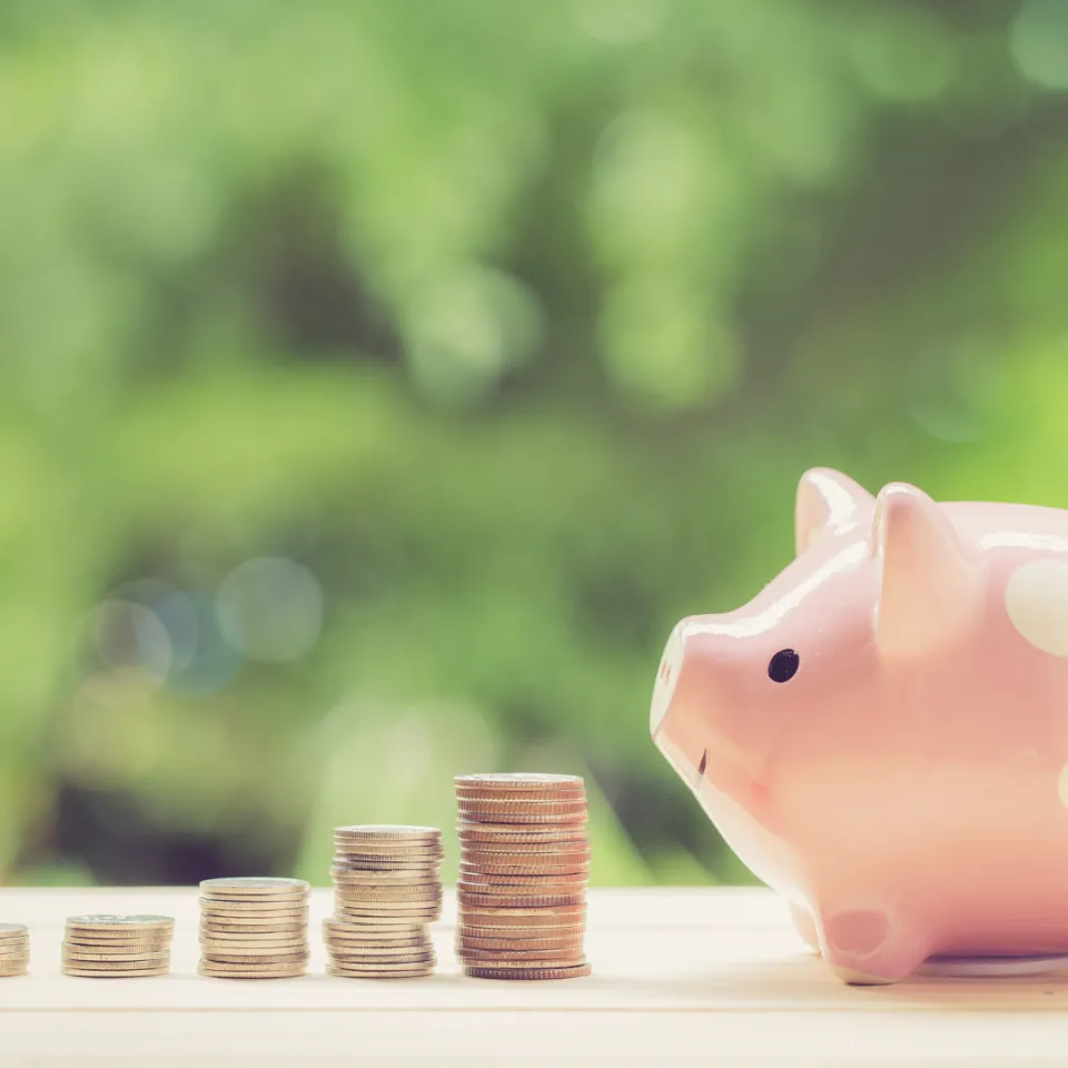 Financial security only as good as your income diversity