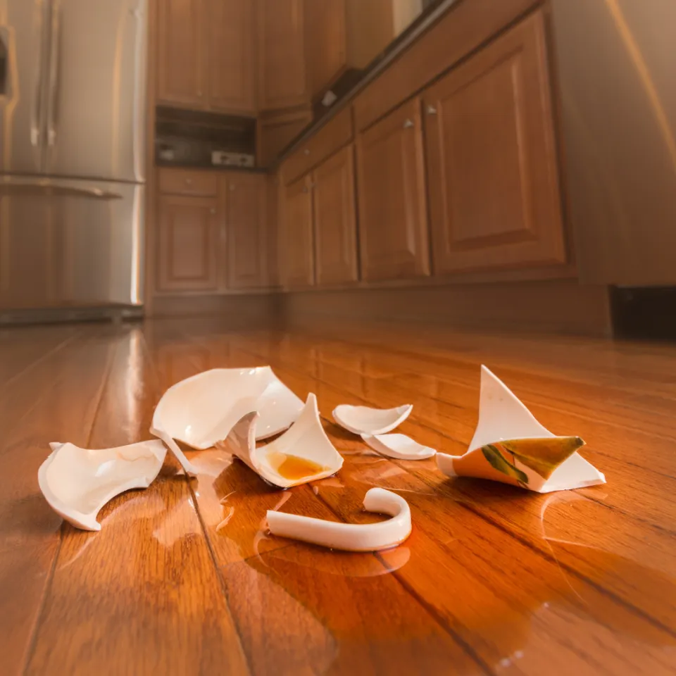 Family and Domestic Violence / FDV Leave