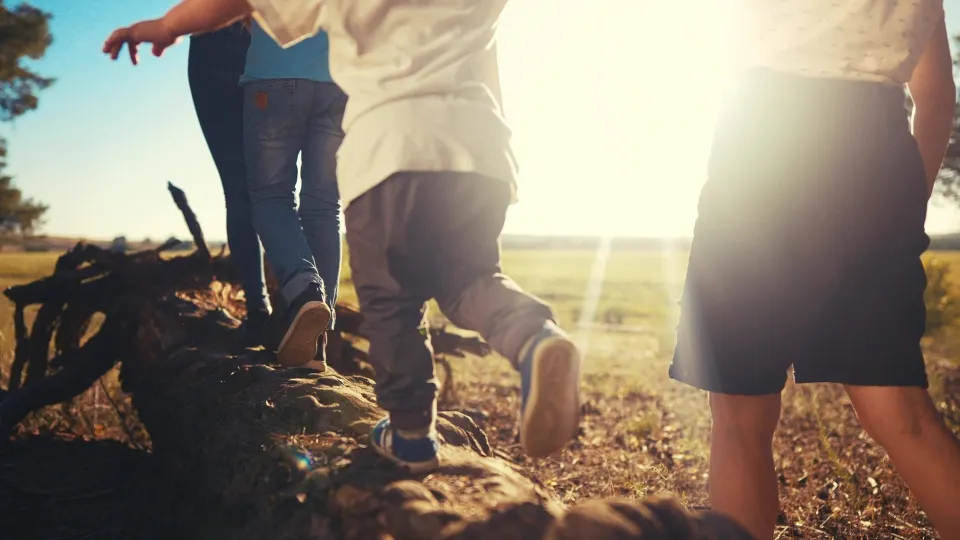 A big year of change - Updates to Family Violence in Family Law